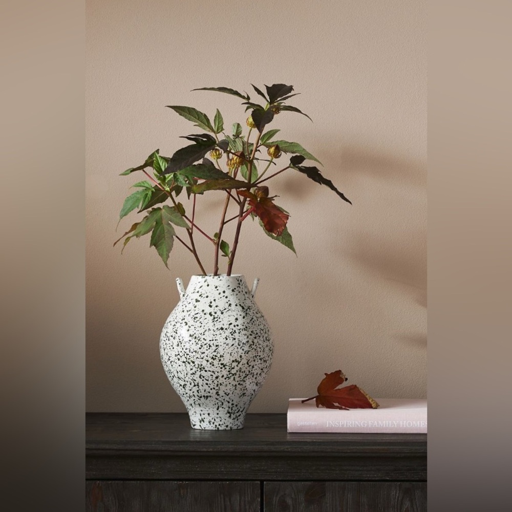 Amber Lewis X Anthropologie Vase